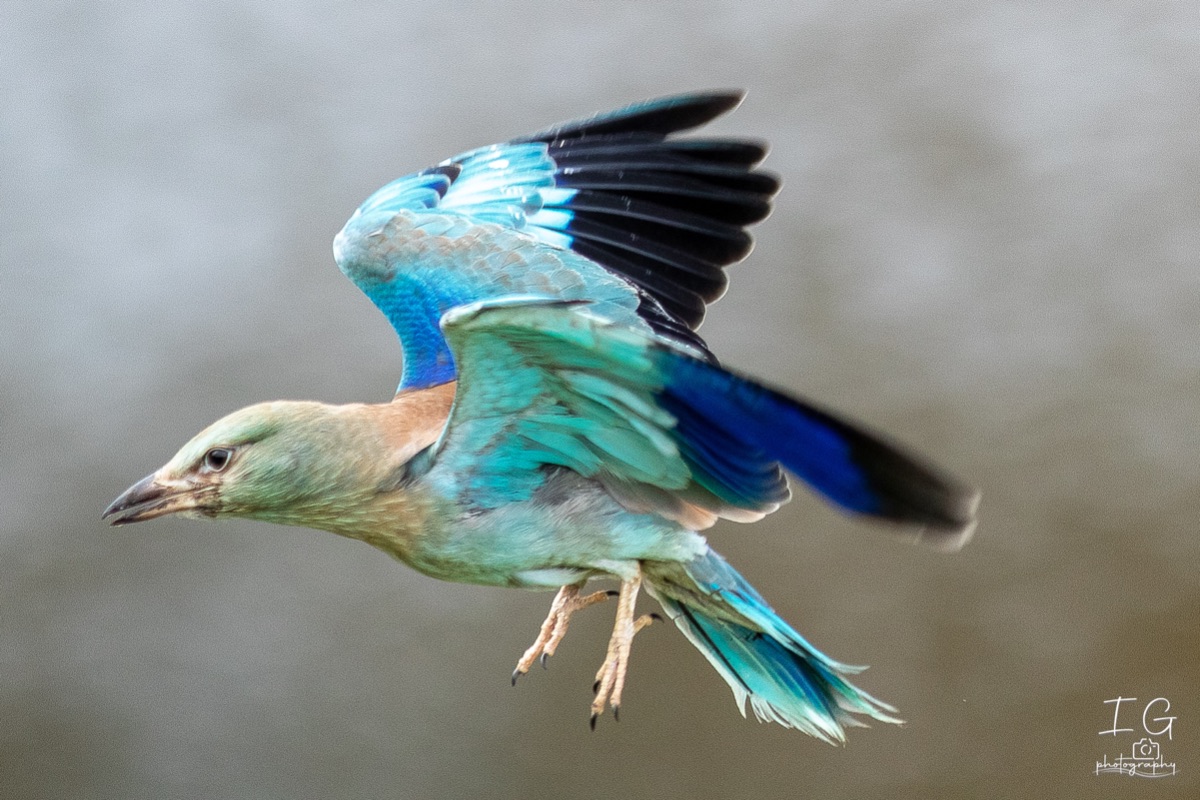 AK6I1735 31 oktober 2021 1533 20